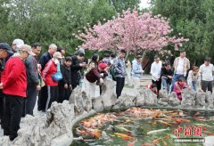 春染岱庙 游人赏花忙